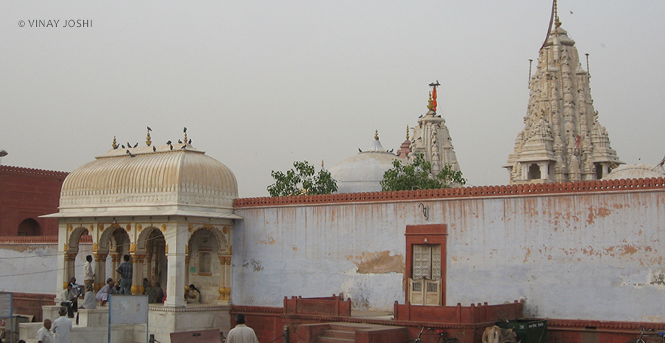 Bikaner place 11
